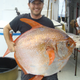 Image for article titled Behold The First Fully Warm-Blooded Fish Known To Science